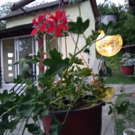 Lux Snezana Daire Vrdnik Dış mekan fotoğraf
